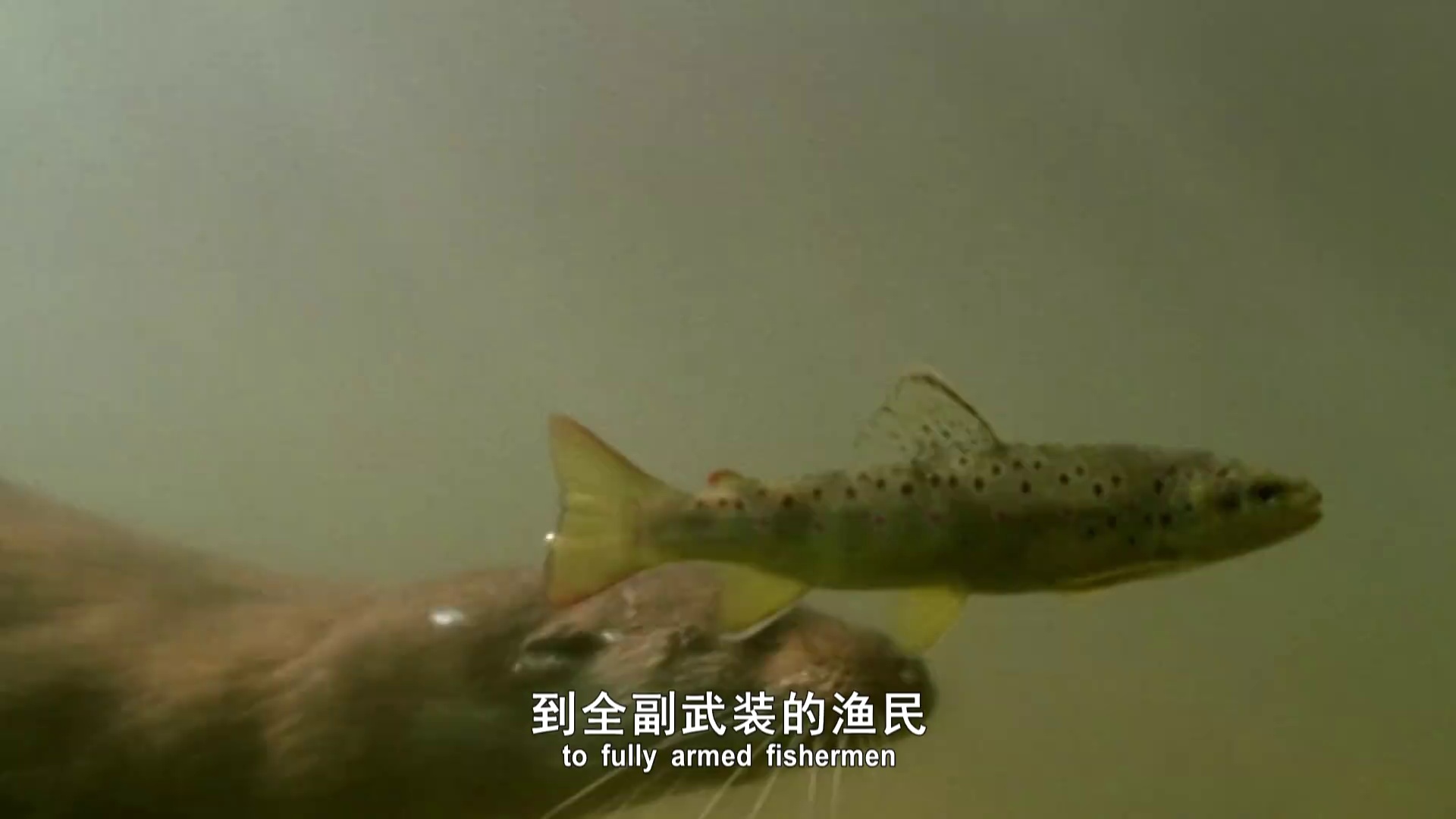 图片[5]-[BT下载][动物封神榜 第一季][全5集][WEB-MKV/4.11G][中文字幕][1080P][流媒体][LelveTV]-影音屋