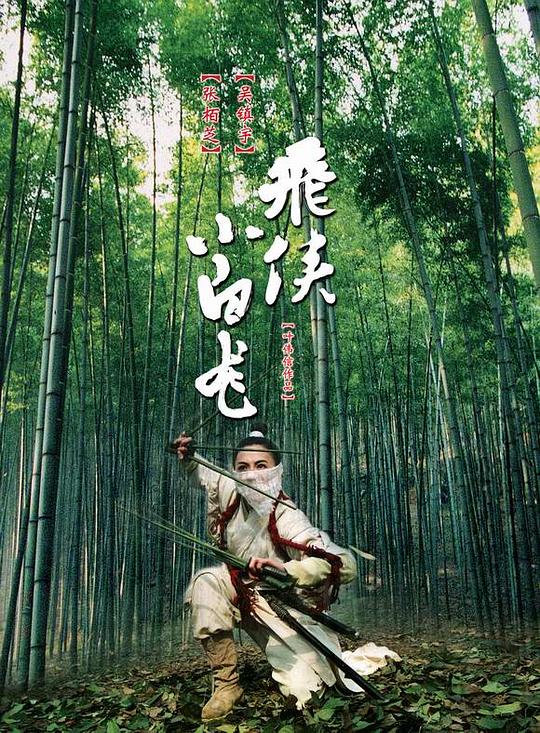 飞侠小白龙[中文字幕].The.White.Dragon.2004.1080p.TVB.WEB-DL.H265.AAC-PandaQT 2.55GB-影音屋