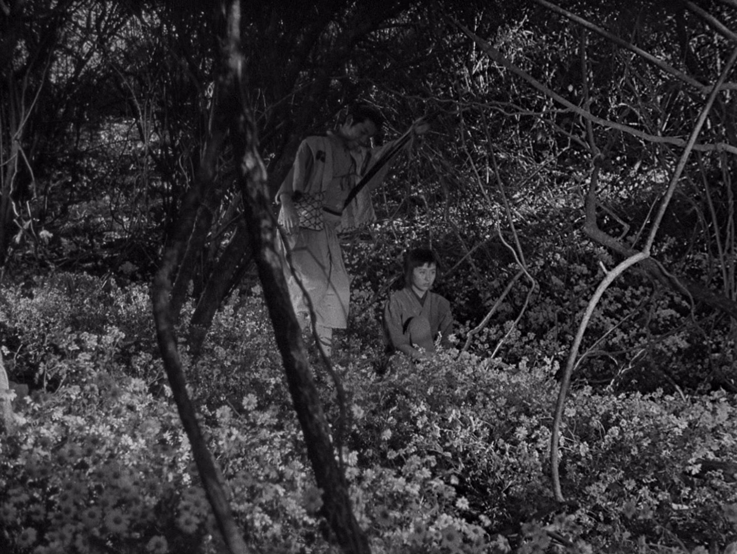 图片[6]-七武士[简繁英字幕].Seven.Samurai.1954.CC.1080p.BluRay.x265.10bit.FLAC.2.0-QuickIO 7.95GB-影音屋