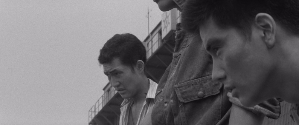 图片[2]-狼猪人[简繁英字幕].Wolves.Pigs.and.Men.1964.Bluray.1080p.LPCM.2.0.x265.10bit-DreamHD 6.66GB-影音屋