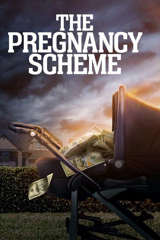 验孕阴谋[中文字幕].The.Pregnancy.Scheme.2023.1080p.WEB-DL.AAC.H264-ParkHD 2.42GB-影音屋