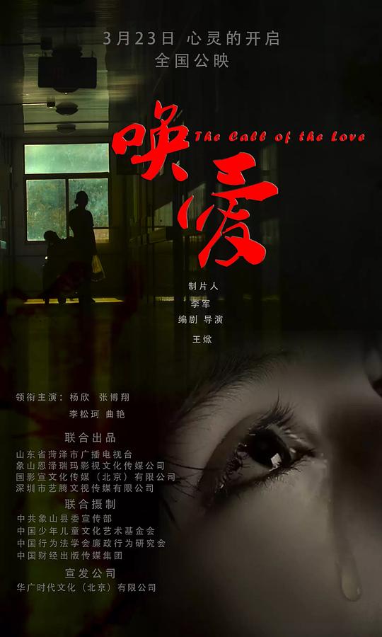 唤爱[国语配音/中文字幕].The.Call.of.Love.2017.2160p.WEB-DL.H265.AAC-PandaQT 2.31GB-影音屋