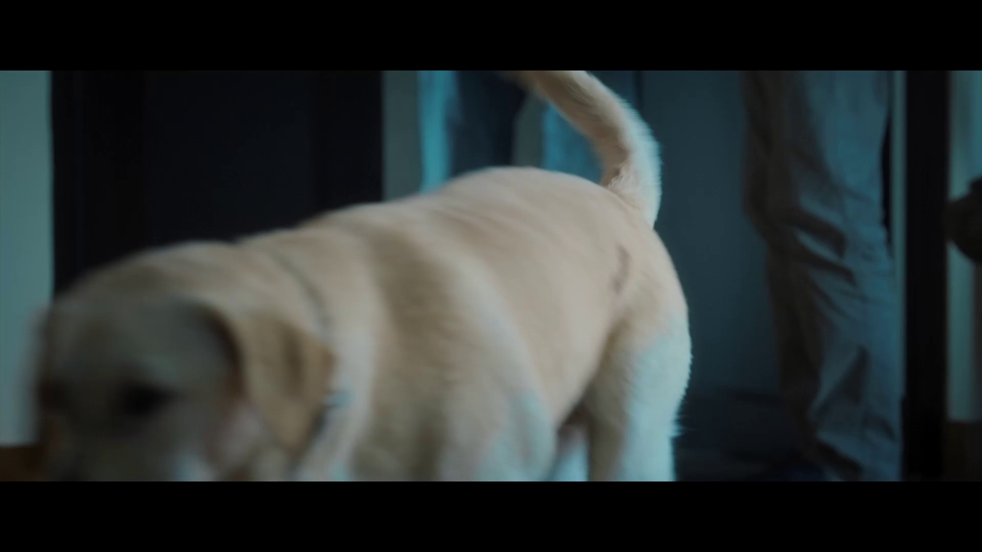 图片[4]-[BT下载][小Q][WEB-MKV/3.08GB][国语配音/中文字幕][1080P][流媒体][DreamHD]-影音屋