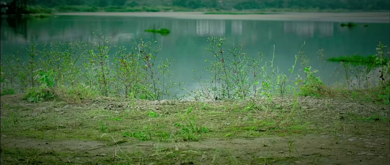 图片[7]-[BT下载][百万巨鳄][WEB-MP4/0.59GB][国语配音/中文字幕][流媒体][SONYHD]-影音屋