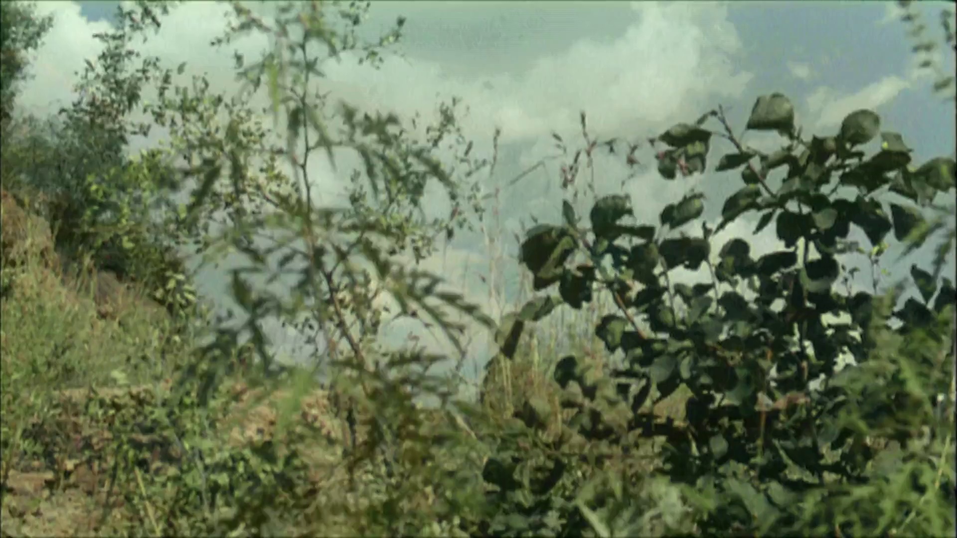 图片[5]-[BT下载][一个人的奥林匹克][WEB-MKV/2.45GB][国语配音/中文字幕][1080P][流媒体][BATWEB小组作品]-影音屋