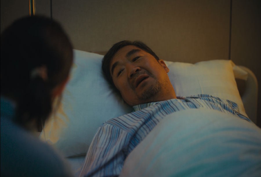 图片[3]-[网盘下载][普通男女][WEB-MKV/11.5G][国语中字][4K-2160P][张国立/郭涛/黄磊]-影音屋