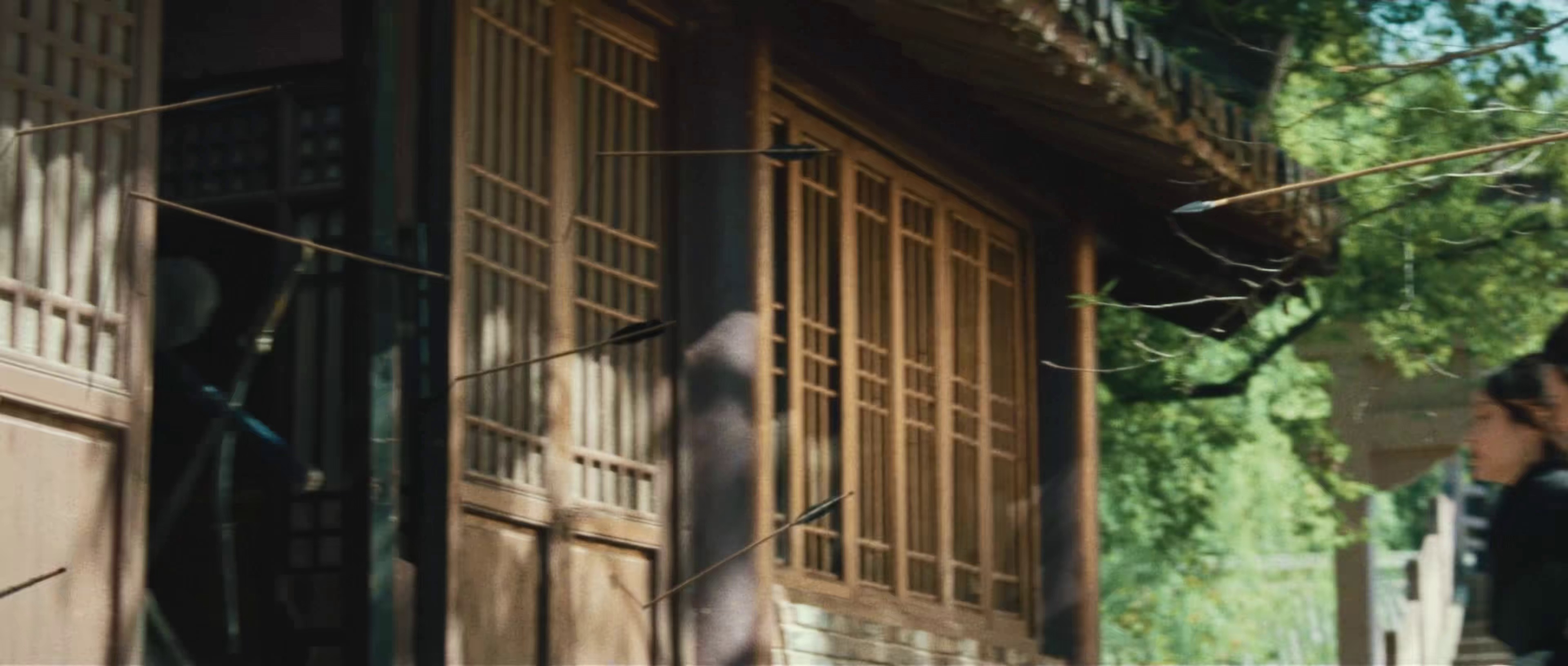 图片[8]-[BT下载][这个大侠有点怂][WEB-MKV/4.61GB][国语配音/中文字幕][4K-2160P][H265编码][流媒体][SONYHD小组作品]-影音屋