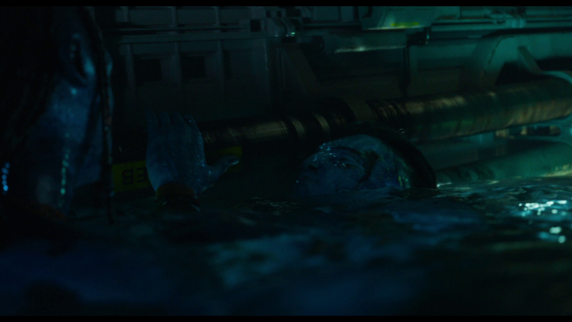图片[8]-[BT下载][阿凡达：水之道][BD-MKV/44.66GB][国英多音轨/中英字幕][1080P][蓝光压制][DreamHD小组作品]-影音屋