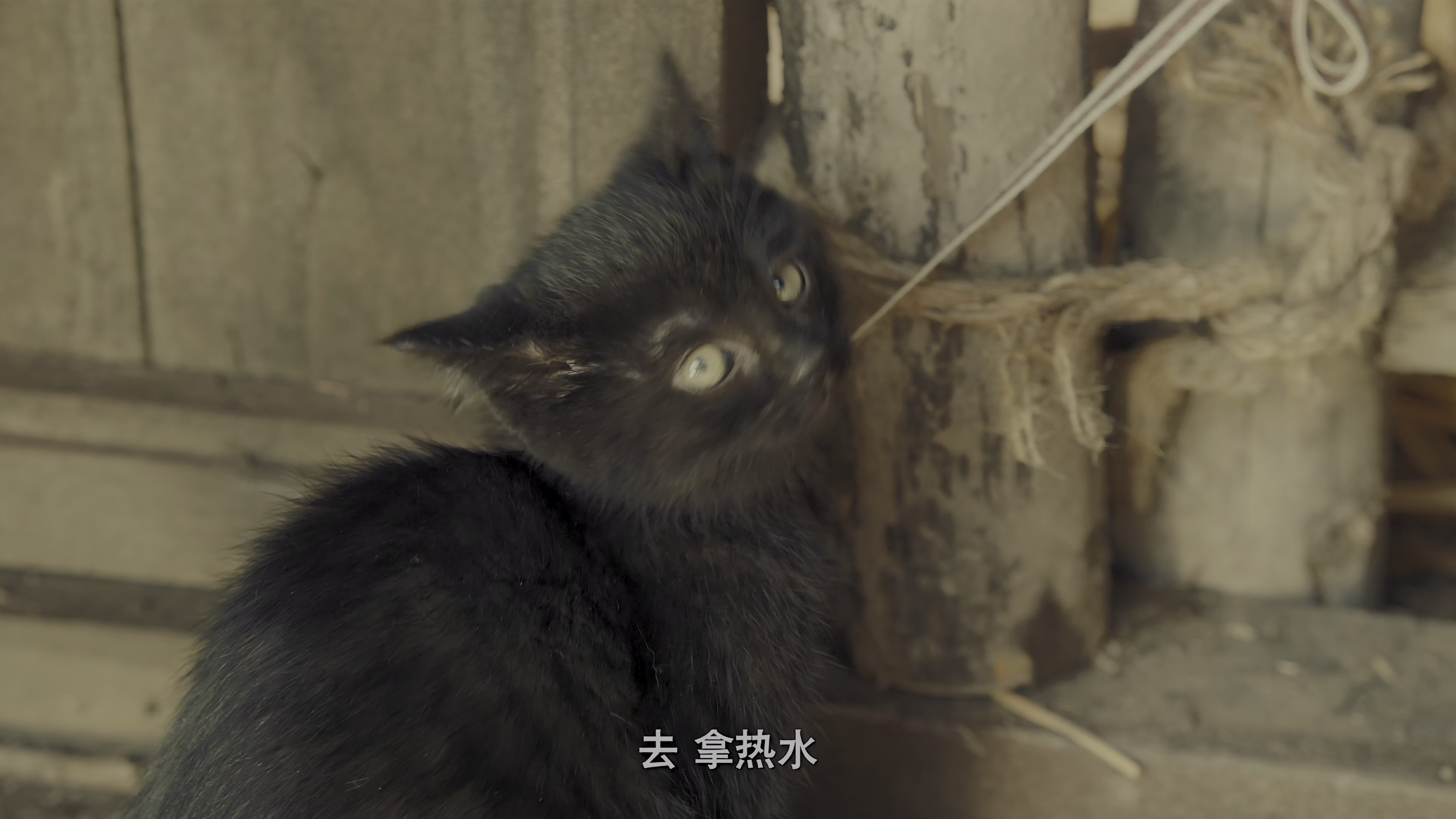 图片[3]-[BT下载][猫妖奇谭][WEB-MKV/7.21GB][国语配音/中文字幕][4K-2160P][HDR版本][H265编码][流媒体][BATWEB小组作品]-影音屋