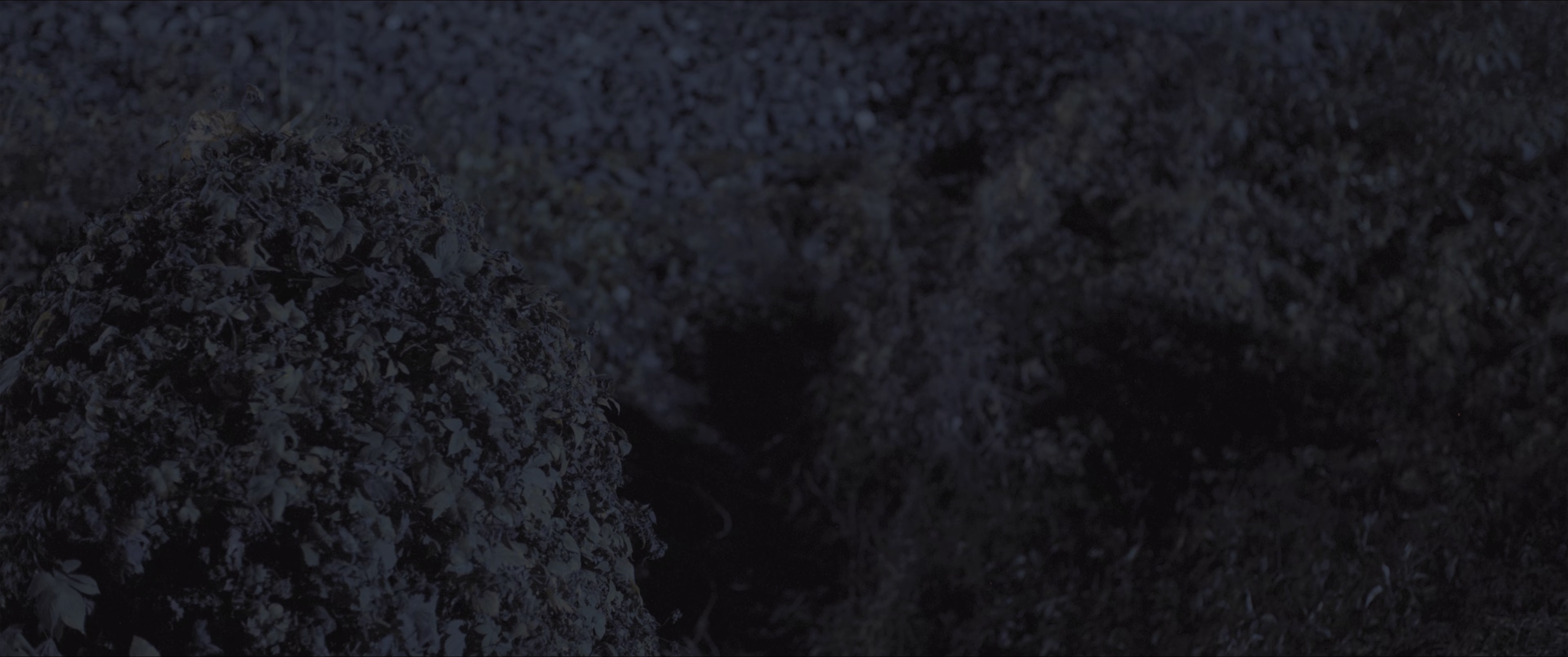 图片[6]-[BT下载][触底反弹][WEB-MKV/8.11GB][国语配音/中文字幕][4K-2160P][HDR版本][H265编码][流媒体][ParkHD小组作品]-影音屋