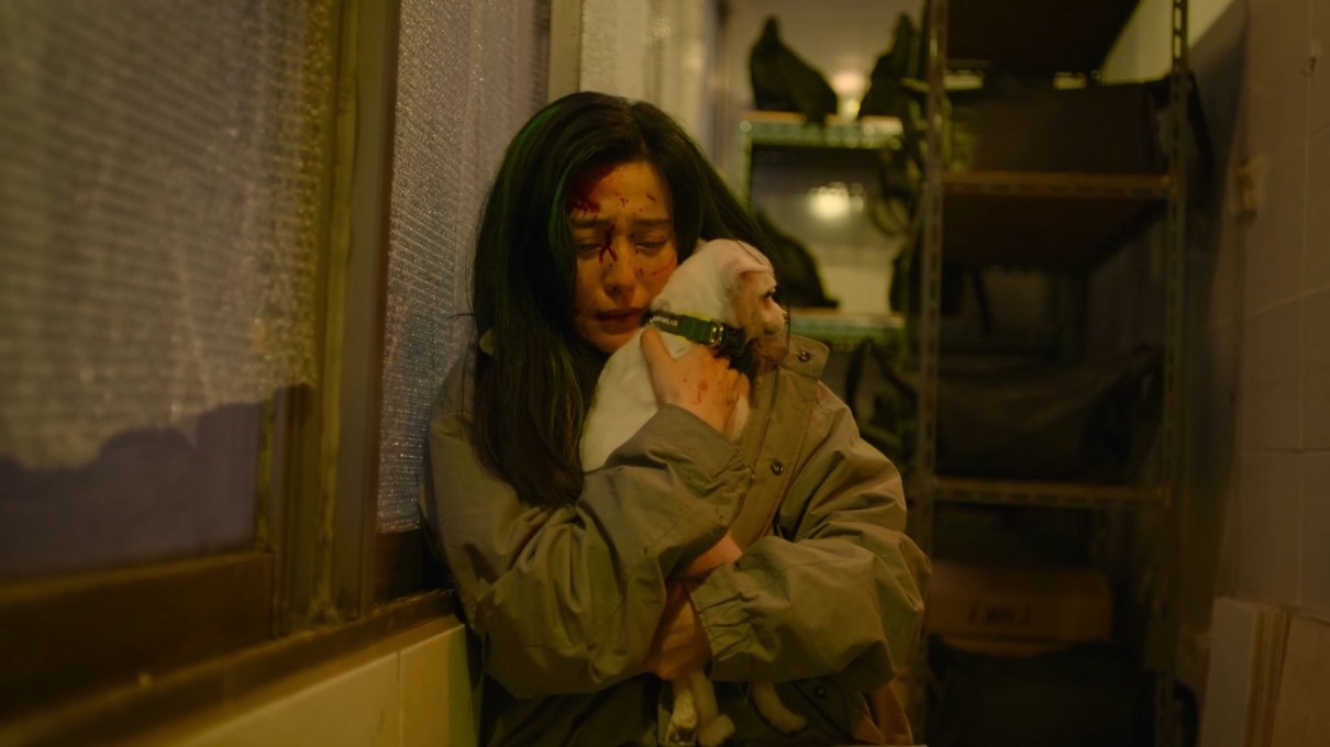 图片[7]-[BT下载][绿夜][WebDL-MKV/3.30GB][中字][1080P][范冰冰2023最新限制级剧情新片]-影音屋