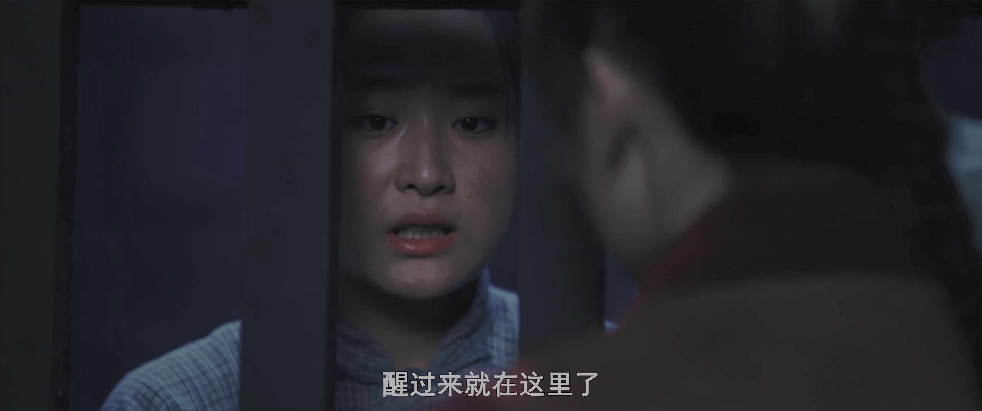 图片[7]-[BT下载][黄金七令之罗刹风云][WEB-MKV/5.04GB][国语配音/中文字幕][4K-2160P][HDR版本][H265编码][流媒体][DreamHD小组作品]-影音屋