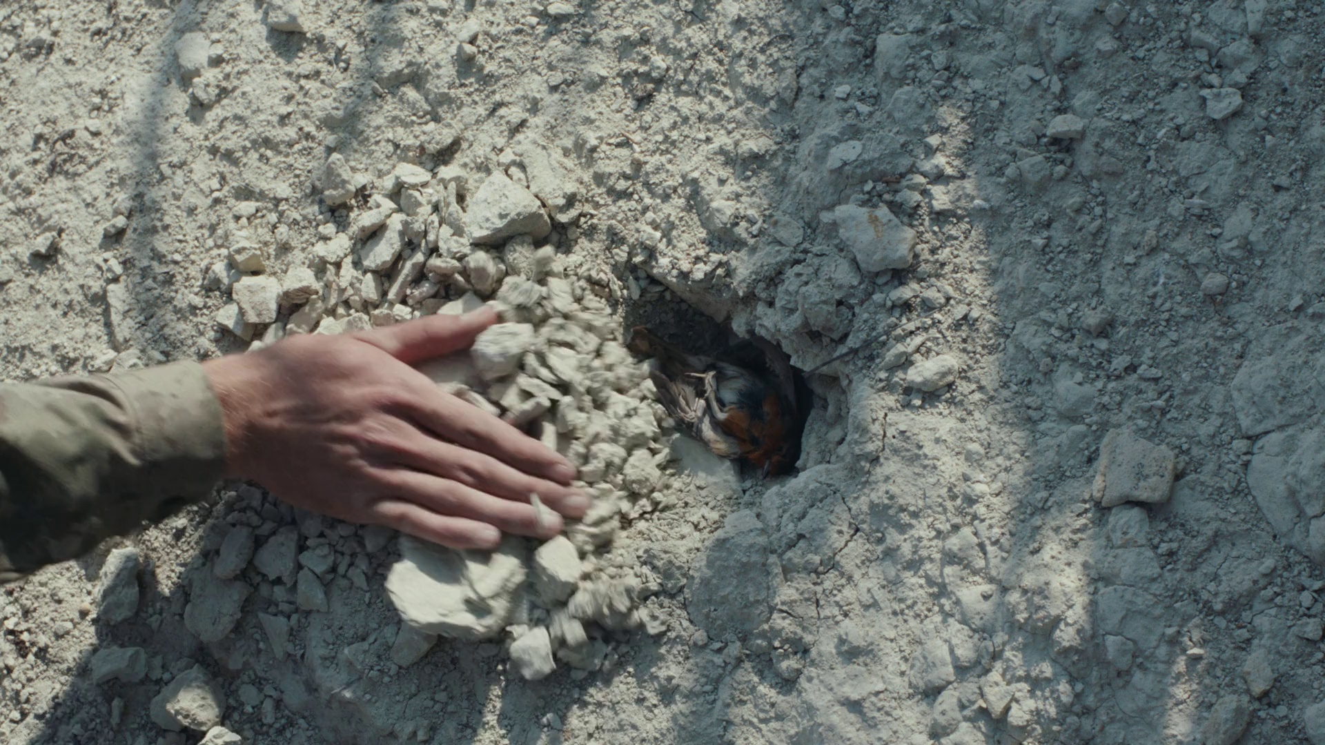 图片[5]-守望者[无字片源].The.Watchman.2024.1080p.MUBI.WEB-DL.DDP5.1.H.264-BATWEB 0.92GB-影音屋