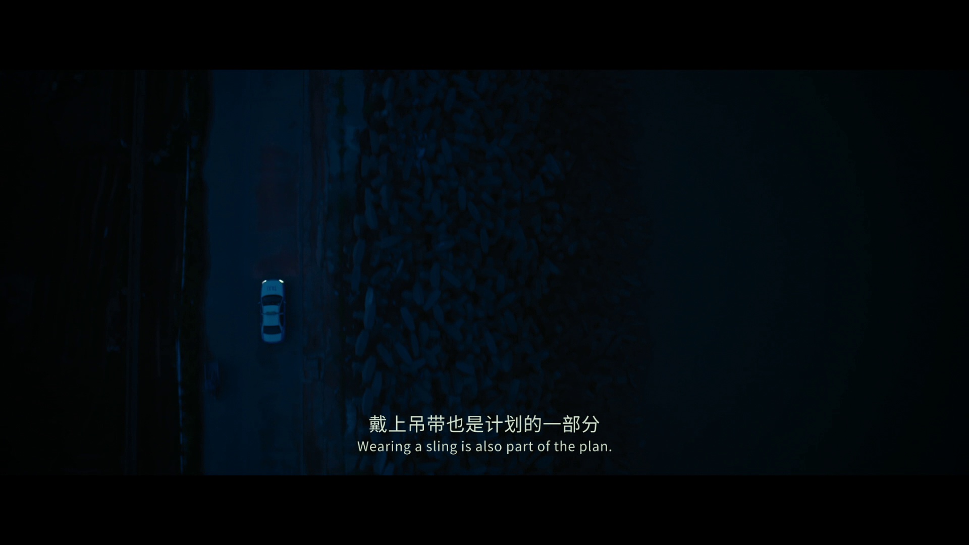 图片[6]-黄雀在后！[国语音轨/中文字幕].The.Victims.2024.1080p.WEB-DL.H264.AAC-GPTHD 4.96GB-影音屋