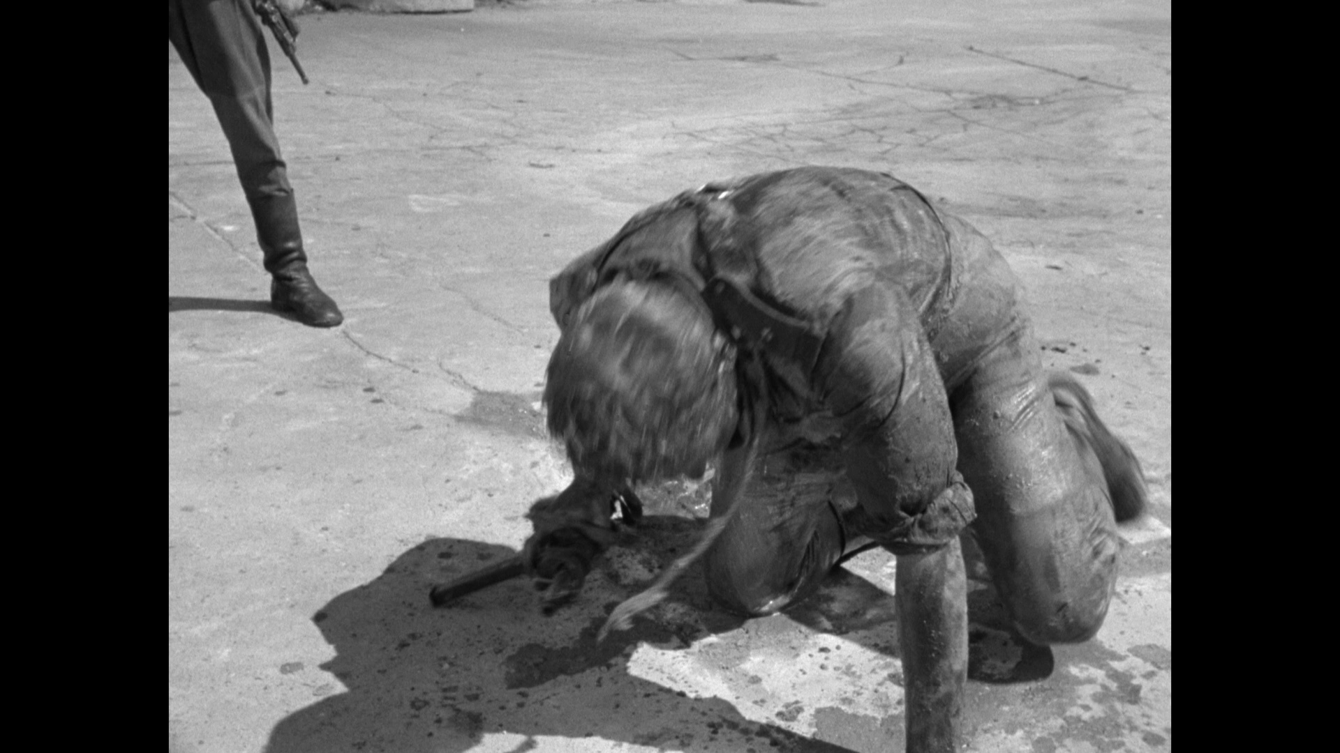 图片[8]-下水道[简繁英字幕].Kanal.1957.1080p.BluRay.Remux.AVC.FLAC.2.0.2Audio-SONYHD 20.64GB-影音屋