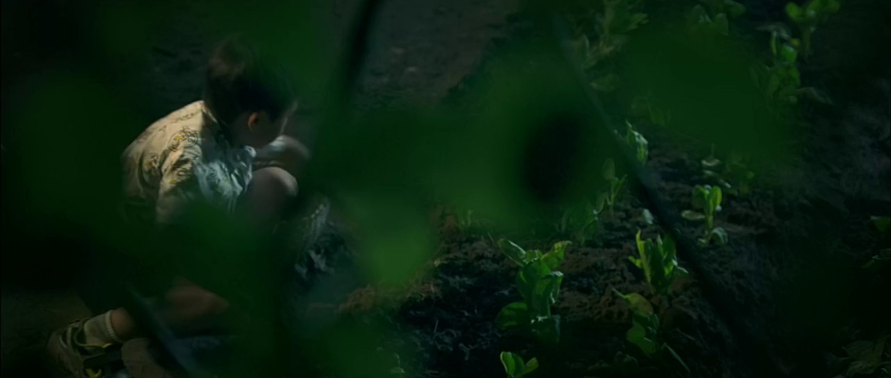 图片[5]-百万巨鳄[国语配音/中文字幕].Million.Dollar.Crocodile.2012.WEB-DL.H264.AAC-SONYHD 0.59GB-影音屋