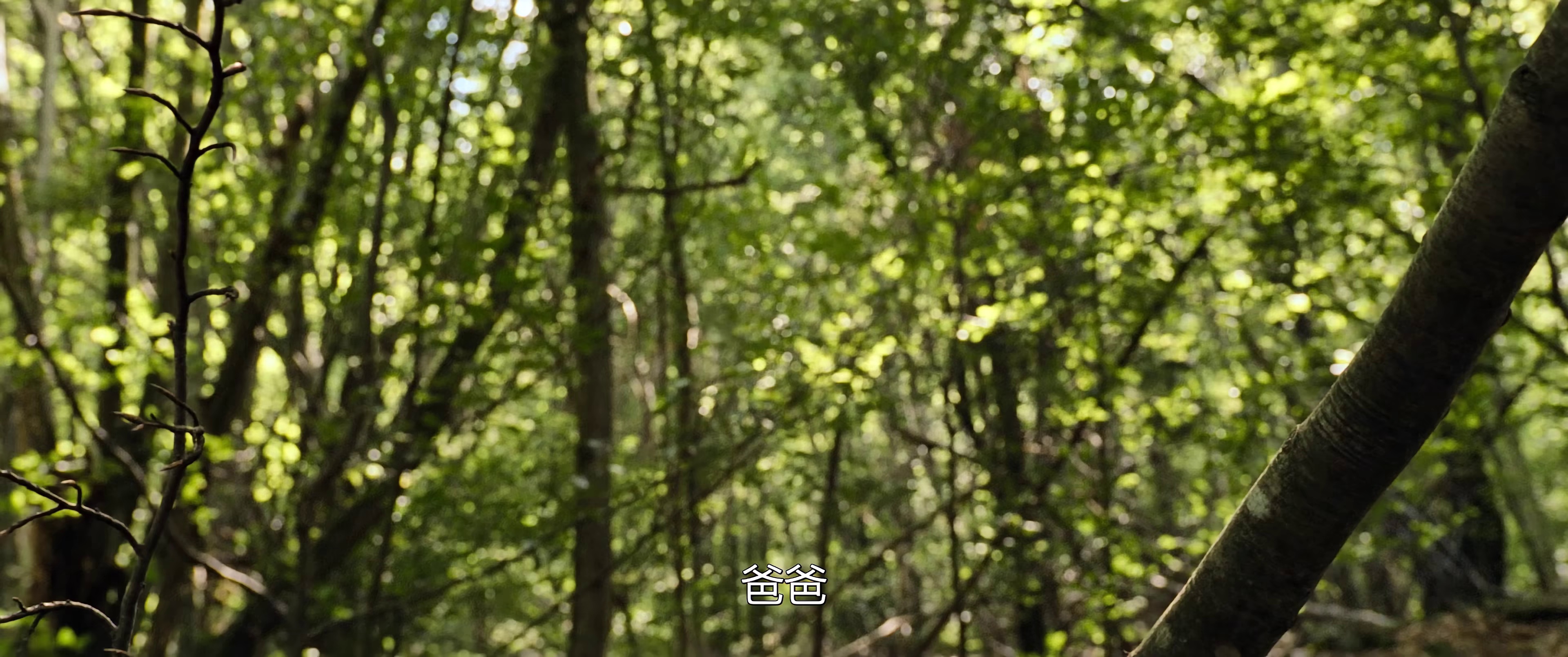 图片[6]-骑士杰克[中文字幕].Rider.Jack.2015.2160p.WEB-DL.H265.AAC-DreamHD 8.87GB-影音屋