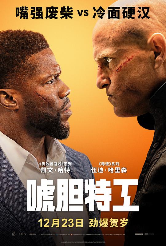 唬胆特工[中文字幕].The.Man.from.Toronto.2022.V2.BluRay.REMUX.1080p.AVC.DTS-HD.MA5.1-DreamHD 23.46GB-影音屋