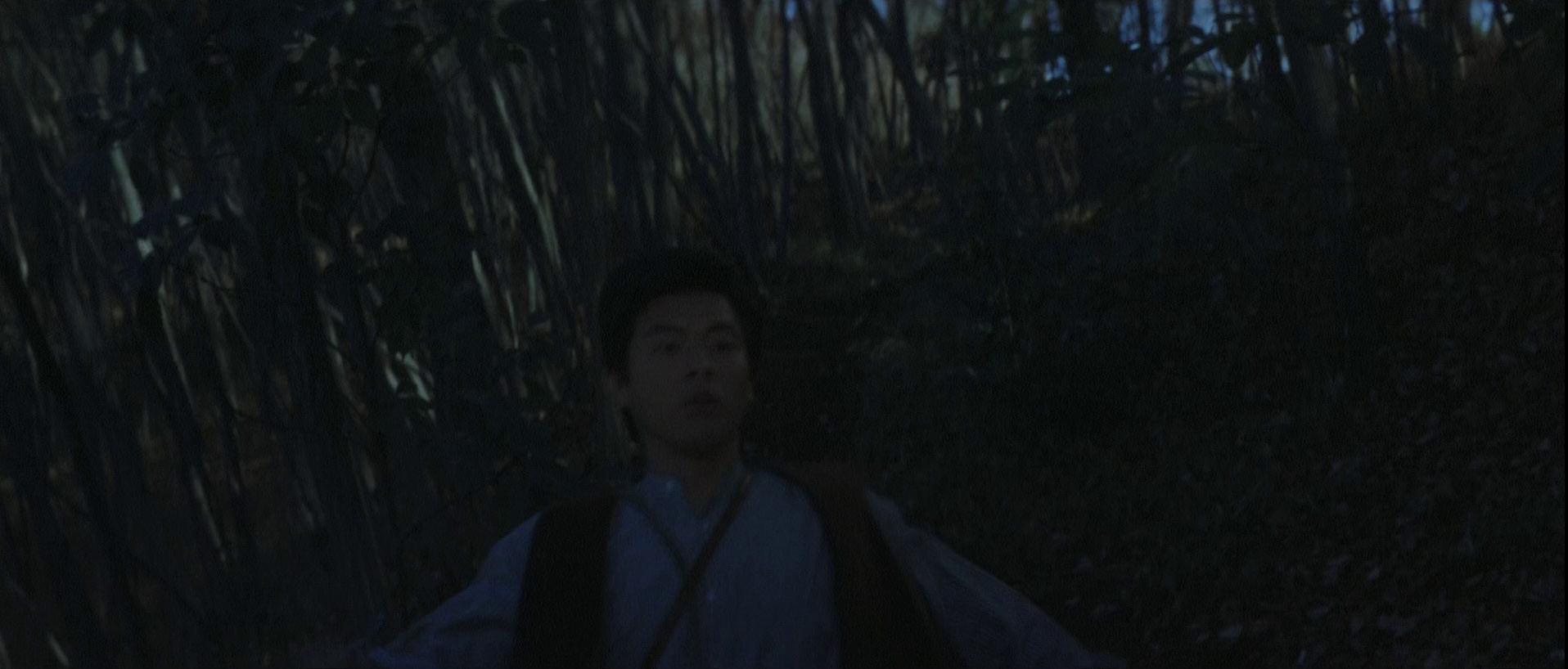 图片[3]-炎之舞[国日多音轨/中文字幕].Dances.of.Flame.1978.1080p.BluRay.x264.FLAC.2.0.2Audio-SONYHD 8.56GB-影音屋