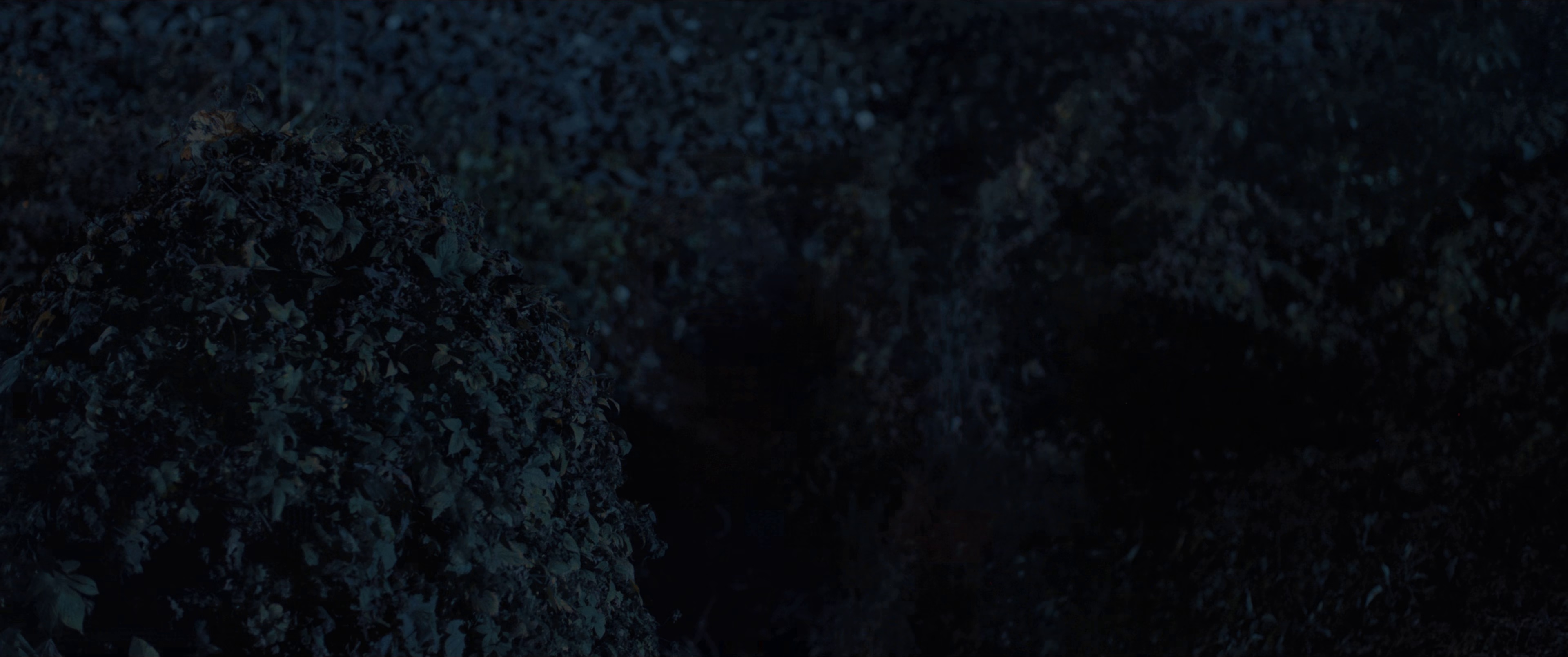 图片[6]-触底反弹[国语配音/中文字幕].The.Man.Rebounds.2024.2160p.EDR.WEB-DL.DDP2.0.H265-ParkHD 12.09GB-影音屋
