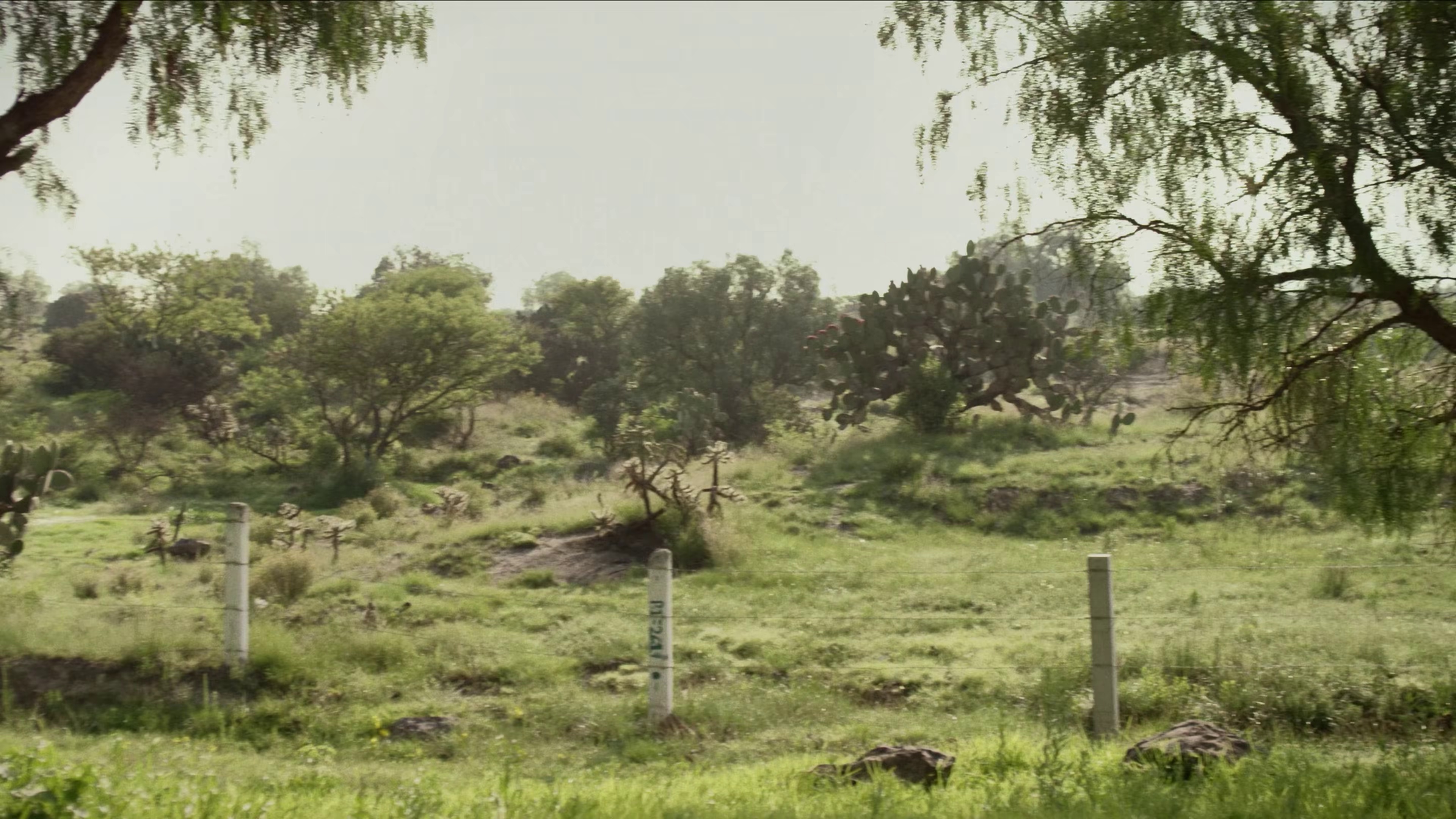 图片[4]-最后一杯酒[中文字幕].One.for.the.Road.2015.2160p.WEB-DL.H265.AAC-DreamHD 10.49GB-影音屋