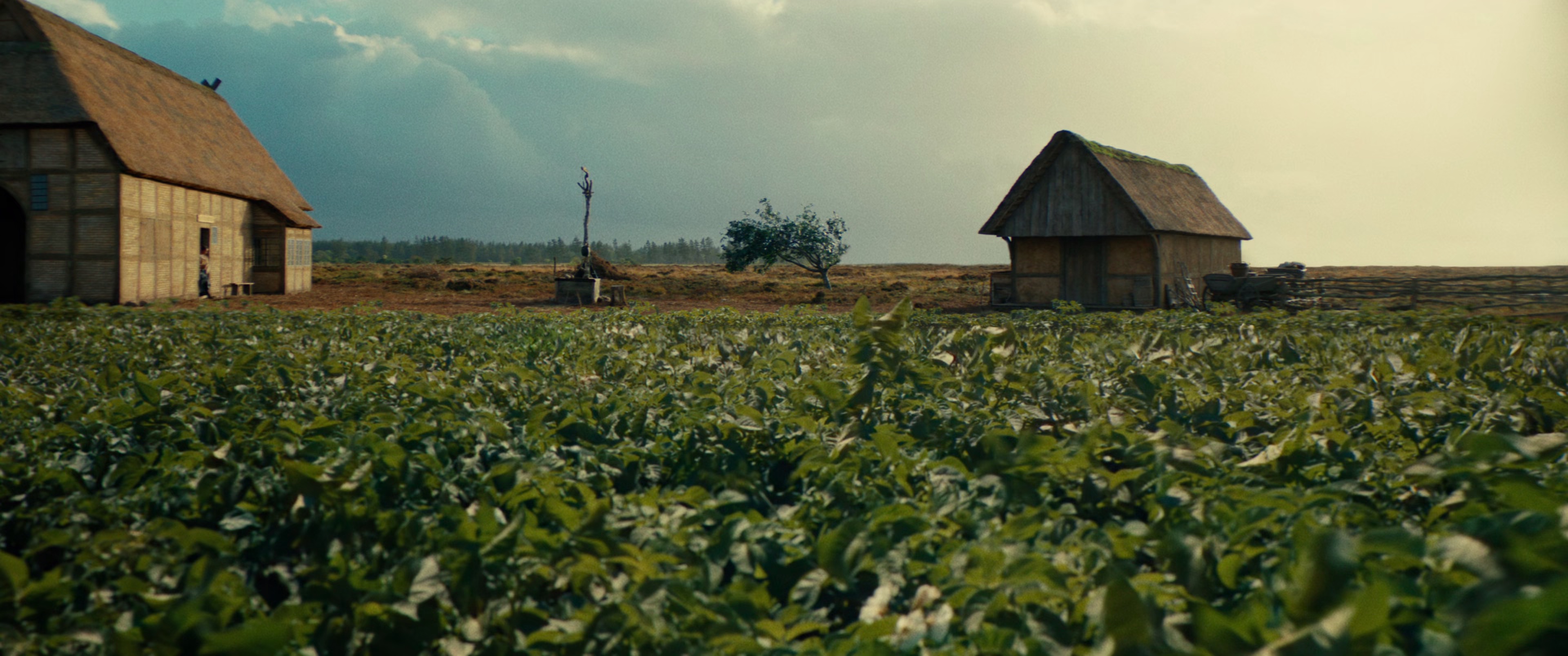图片[8]-杂种[简英特效字幕].The.Promised.Land.2023.2160p.UHD.BluRay.DTS-HD.MA.5.1-GPTHD 21.73GB-影音屋