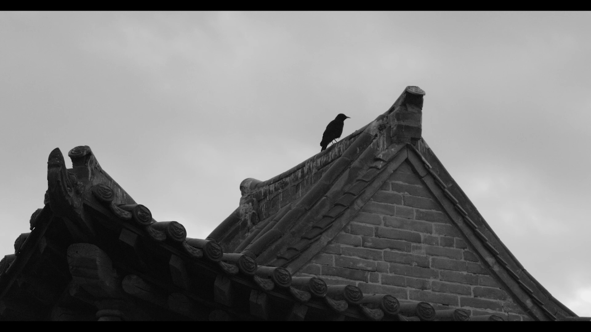 图片[3]-云淡风轻[国语音轨/中文字幕].Corner.with.Hope.2023.1080p.WEB-DL.H264.AAC-GPTHD 4.50GB-影音屋