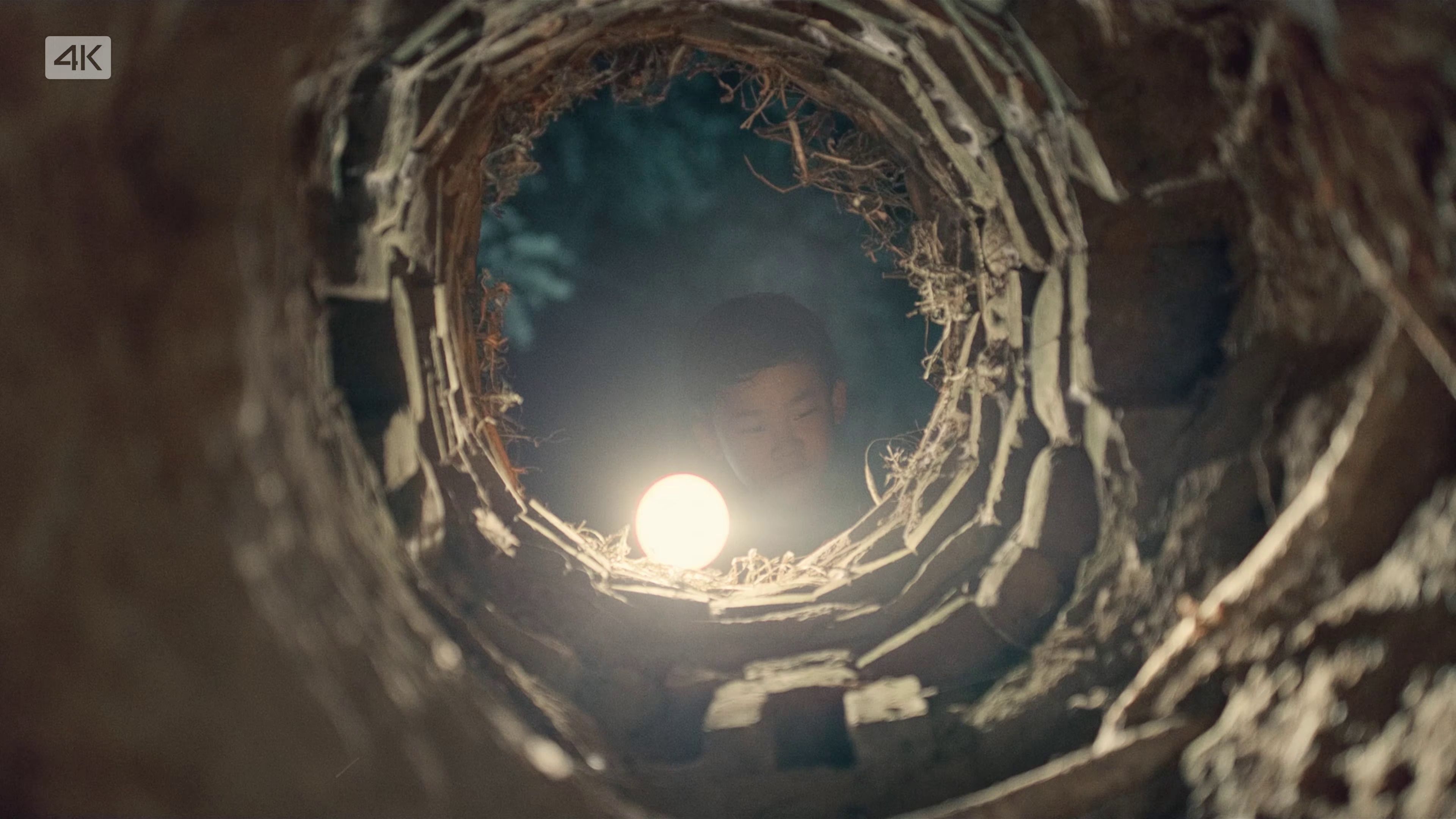 图片[7]-最后的告别[国语配音/中文字幕].The.Last.Farewell.2024.2160p.WEB-DL.AAC.H265-ParkHD 6.67GB-影音屋