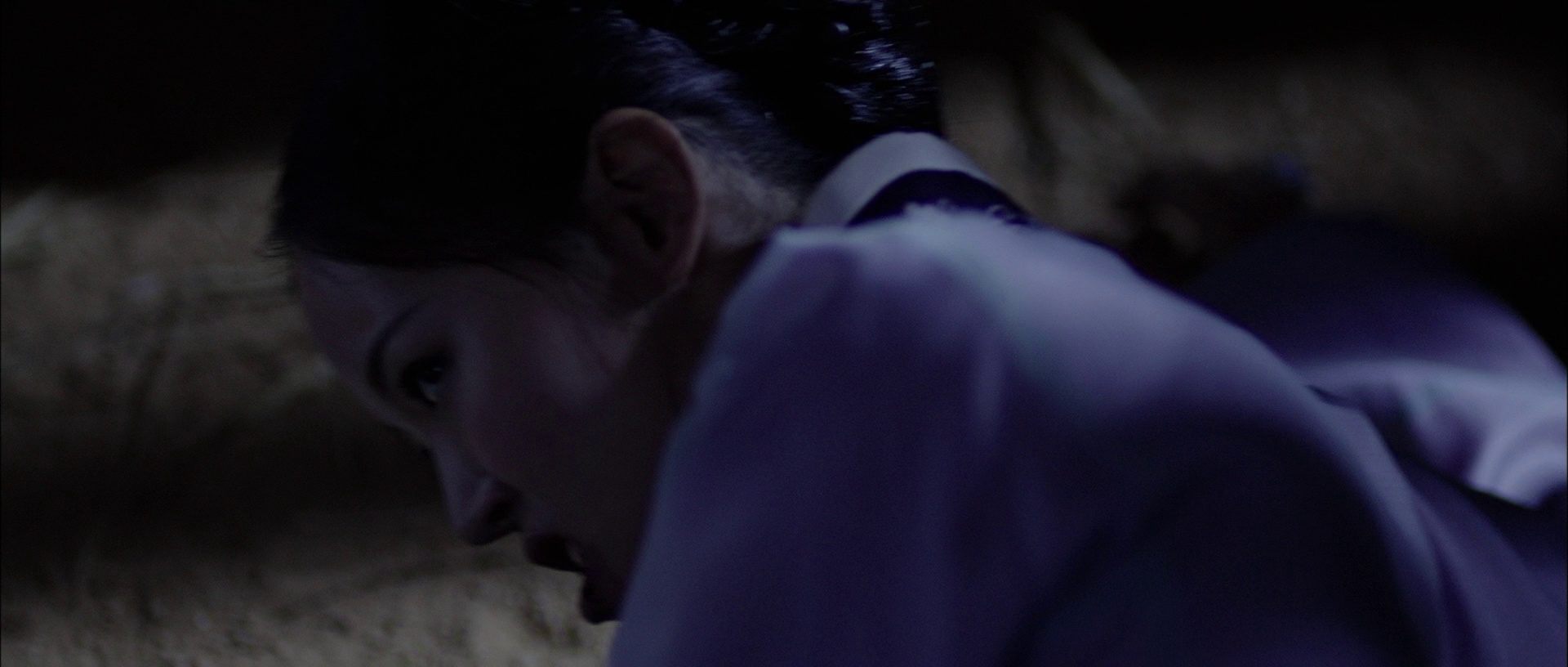 图片[7]-纯真时代[中文字幕].Empire.of.Lust.2015.1080p.BluRay.x264.DTS-SONYHD 9.59GB-影音屋