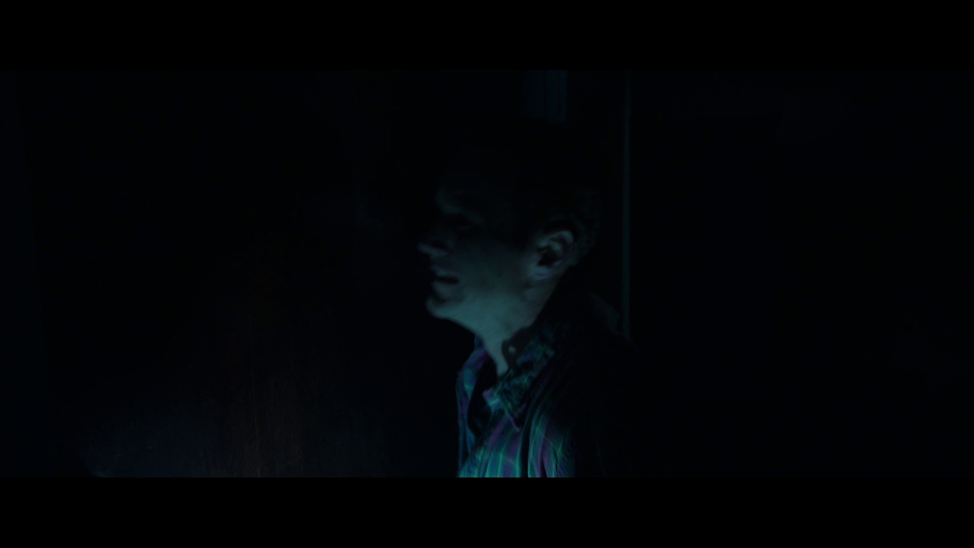 图片[7]-潜伏2[中文字幕].Insidious.Chapter.2.2013.Bluray.1080p.AAC2.0.x264-DreamHD 3.10GB-影音屋