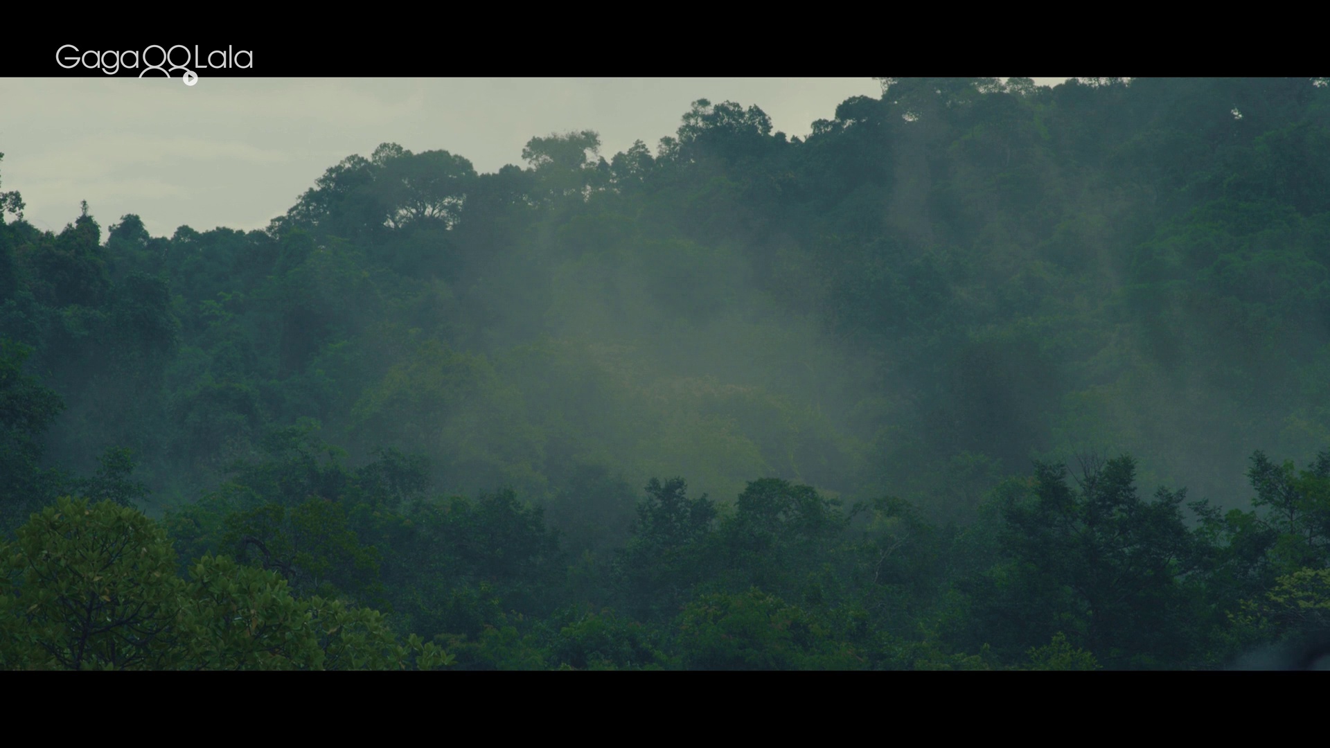 图片[3]-当下完美2[简繁英字幕].Present.Still.Perfect.2020.1080p.GagaOOLala.WEB-DL.AAC2.0.H.264-DreamHD 3.63GB-影音屋