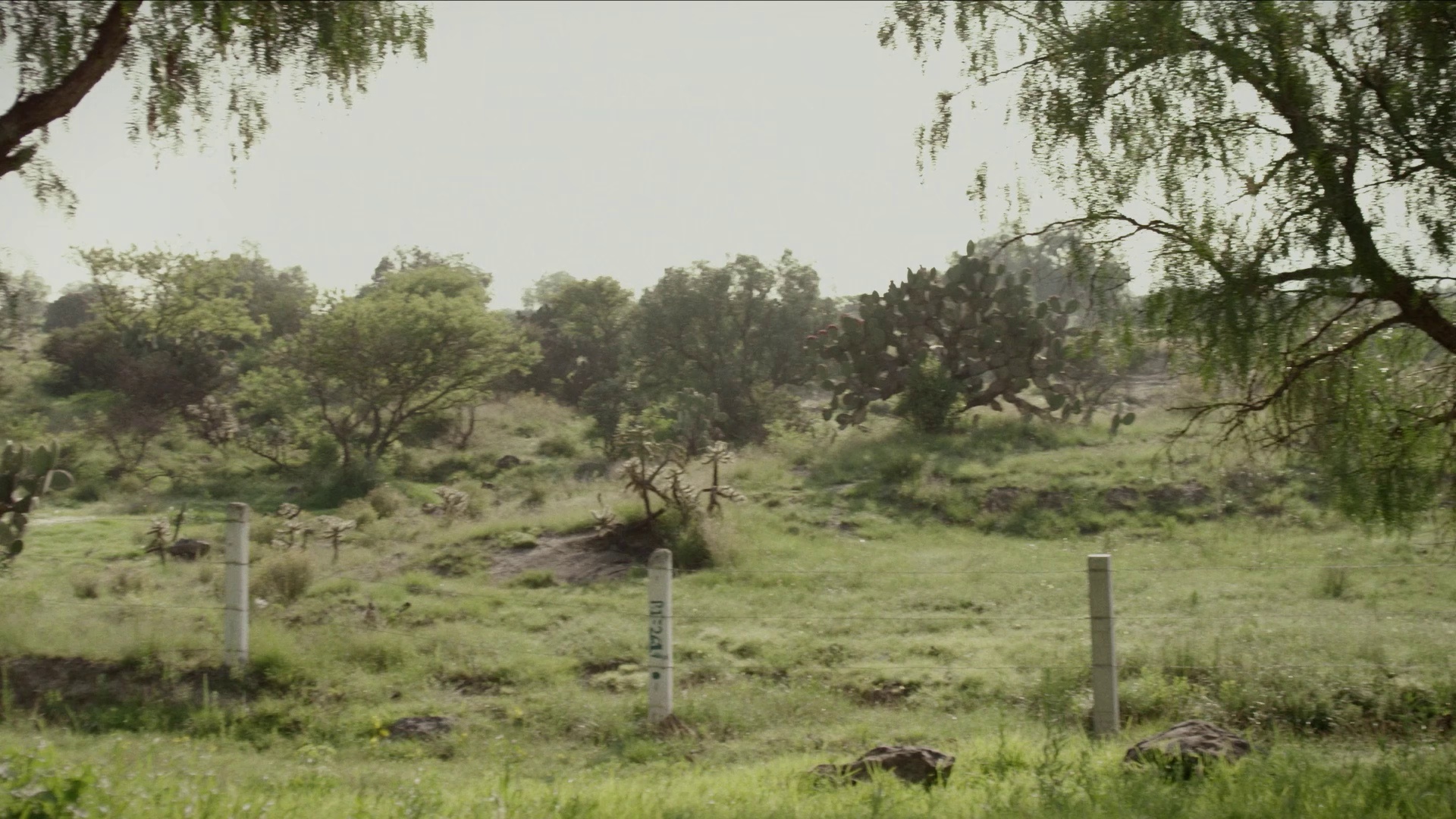 图片[4]-最后一杯酒[中文字幕].One.for.the.Road.2015.1080p.WEB-DL.H265.AAC-DreamHD 1.61GB-影音屋