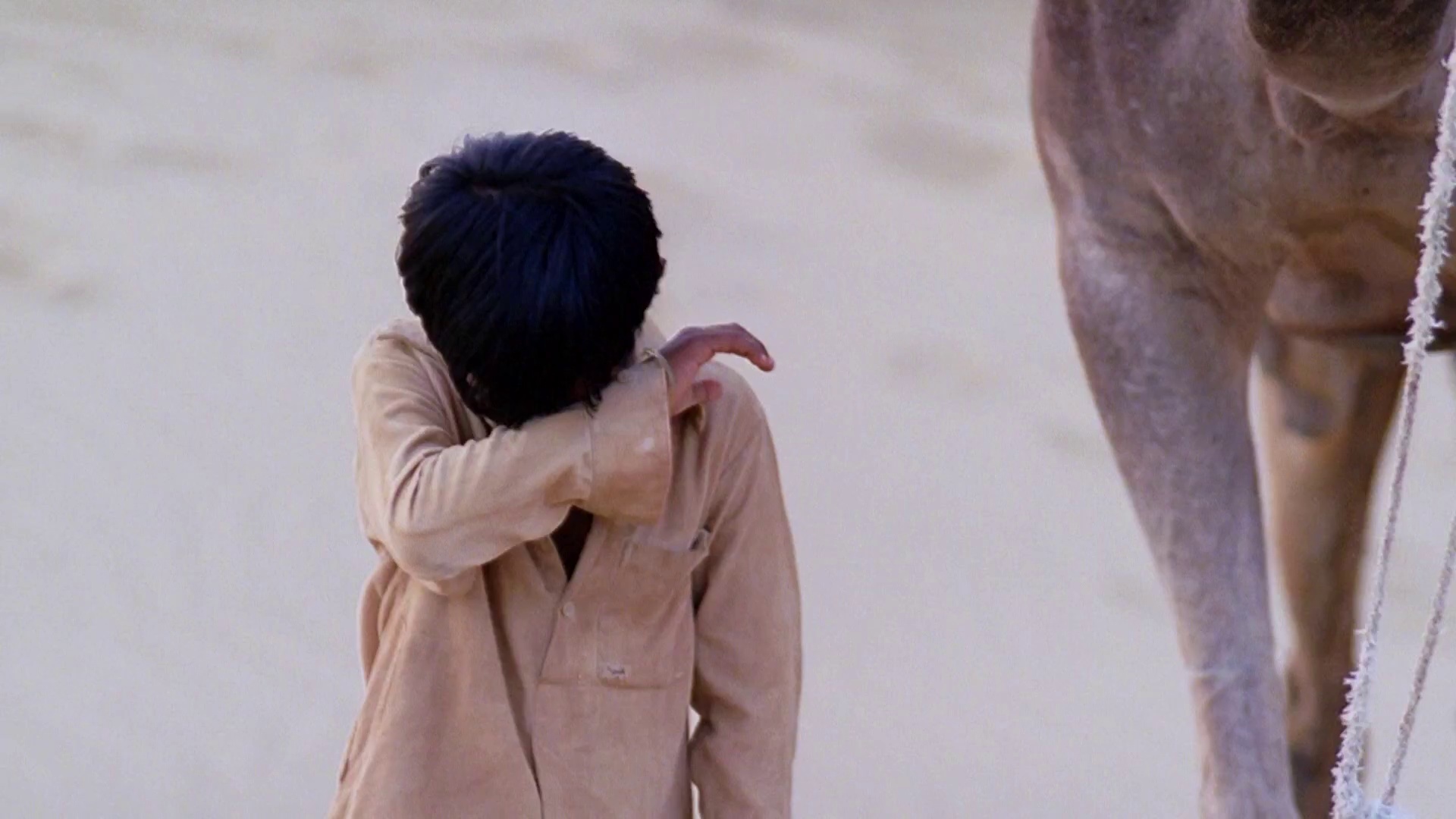 图片[7]-我是卡拉姆[中文字幕].I.Am.Kalam.2010.1080p.WEB-DL.DDP2.0.H264-ParkHD 2.52GB-影音屋