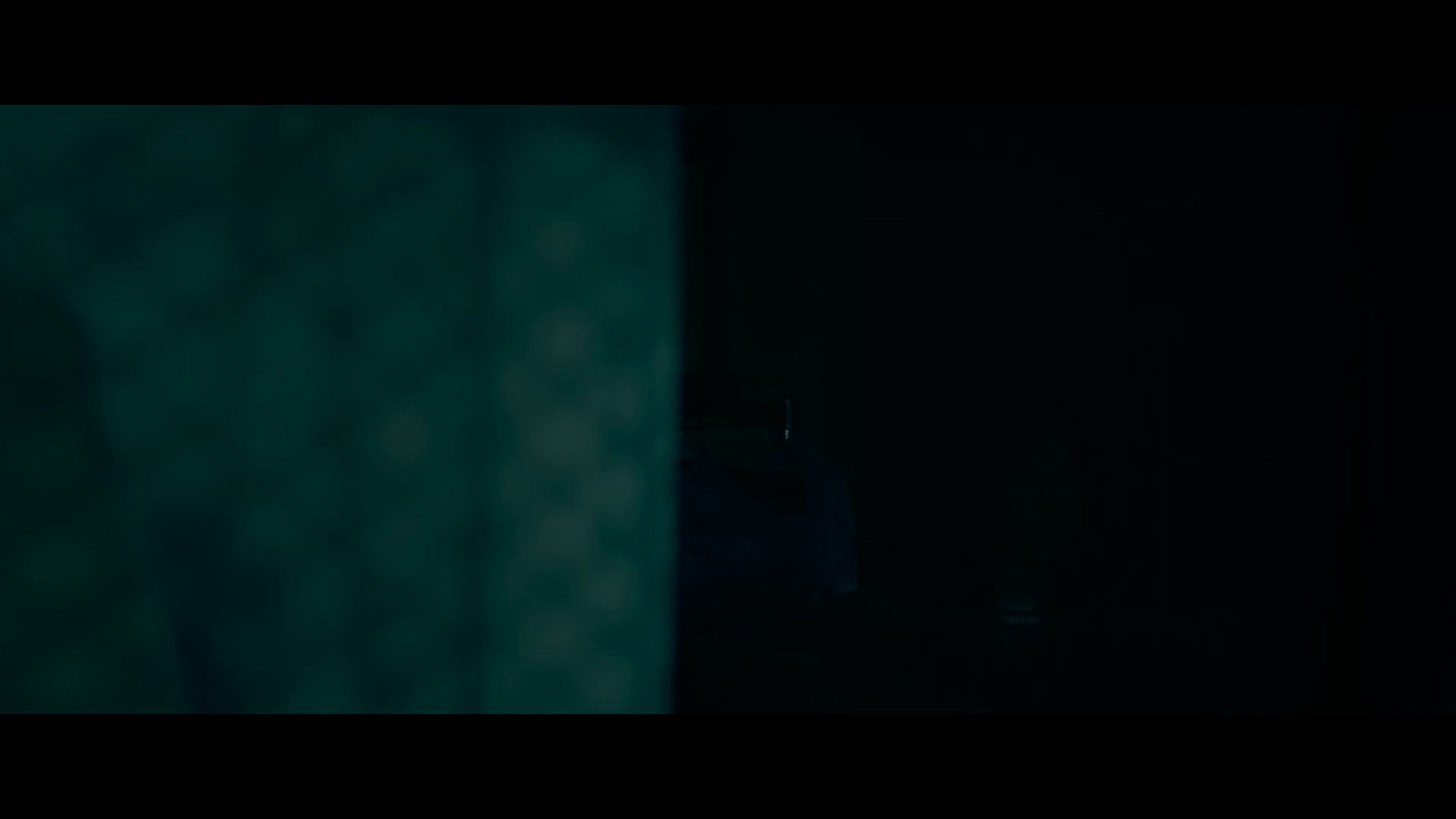 图片[4]-粽邪[国语配音/中文字幕].The.Rope.Curse.2018.1080p.NF.WEB-DL.DDP.2.0.H.264-DreamHD 4.01GB-影音屋