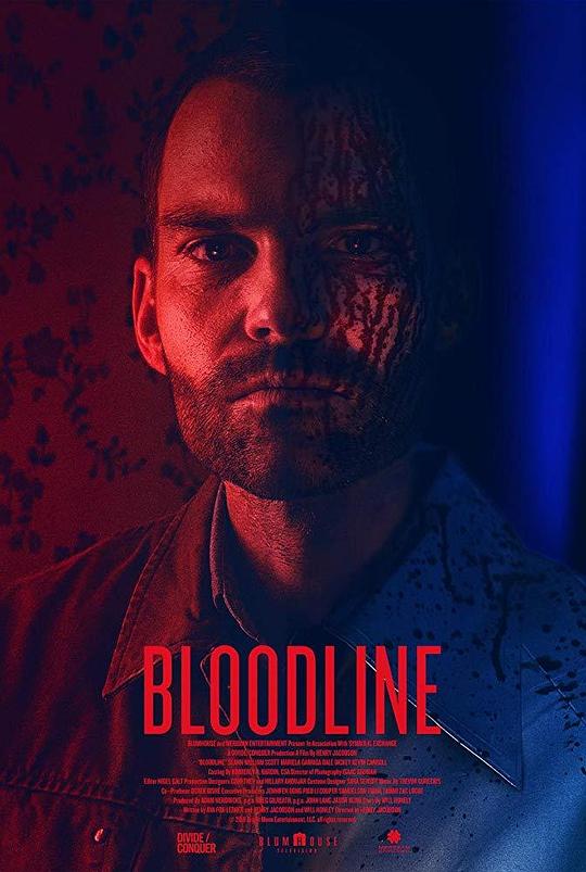 血亲[简繁英字幕].Bloodline.2018.1080p.BluRay.x265.10bit.DTS-SONYHD 5.55GB-影音屋