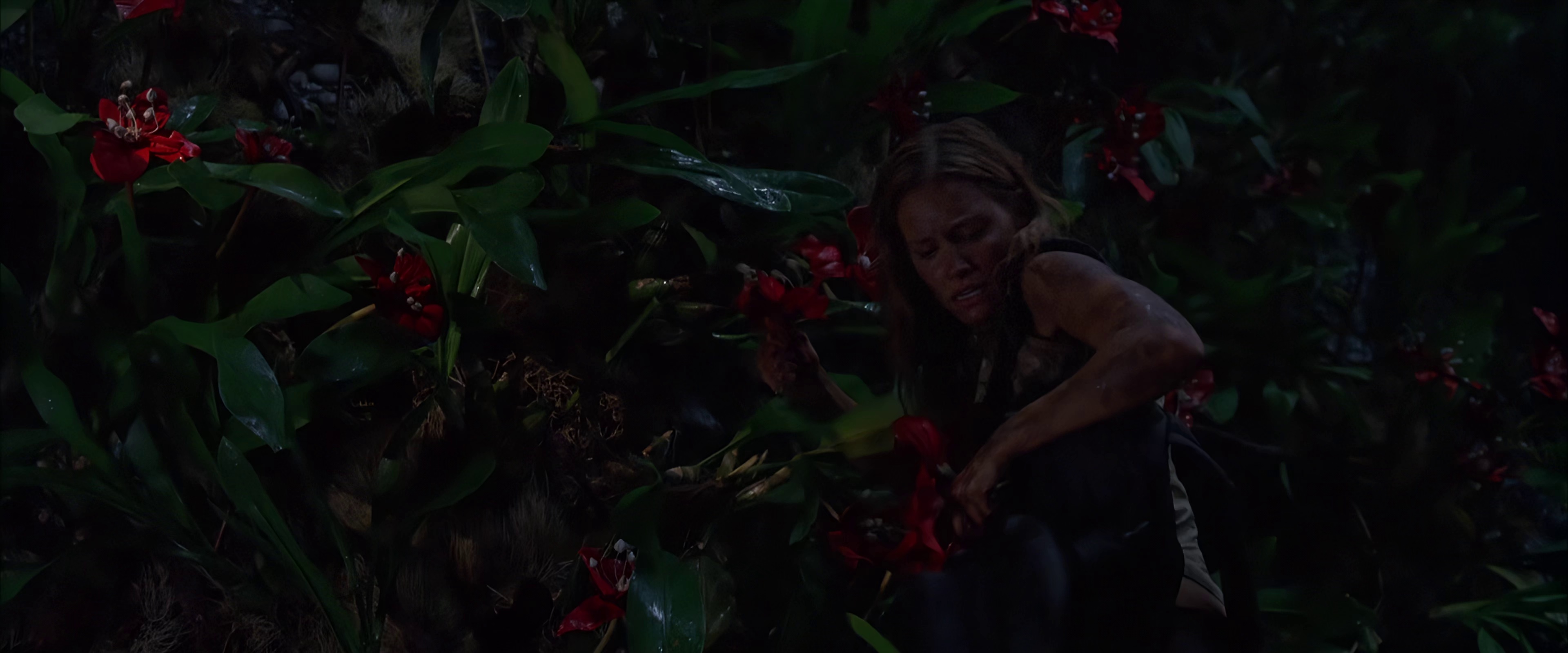 图片[8]-狂蟒之灾2[无字片源].Anacondas.The.Hunt.for.the.Blood.Orchid.2004.2160p.WEB-DL.H265.AAC-BATWEB 3.38GB-影音屋